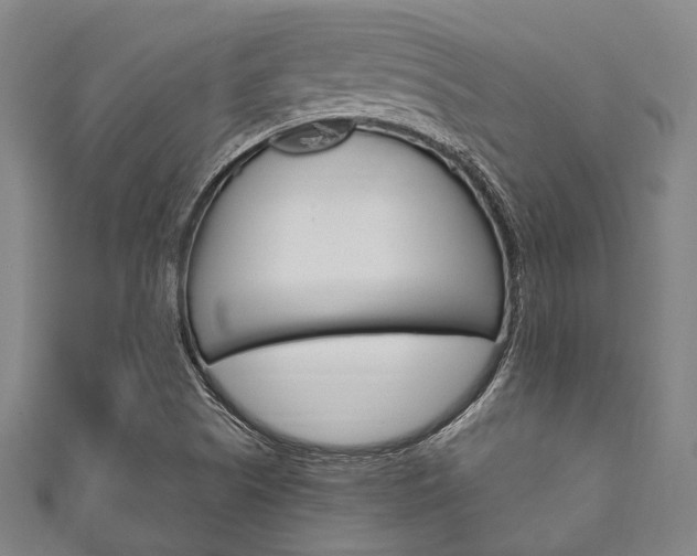 X0000111831505200907231011