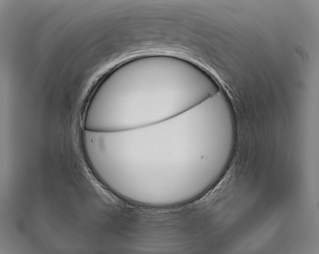 X0000111831507200907231011