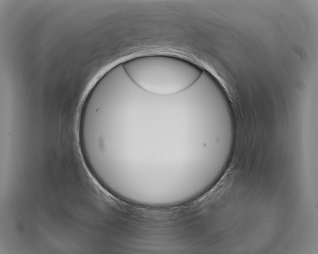 X0000111831508200907231011