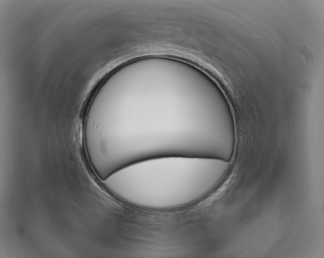 X0000111831509200907231012
