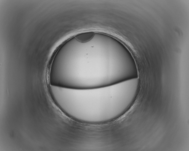 X0000111831510200907231012