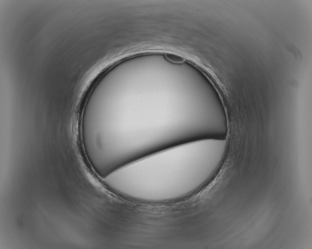 X0000111831511200907231012