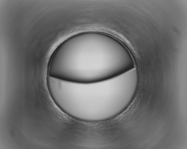 X0000111831512200907231012