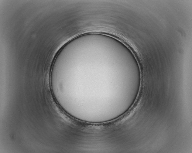 X0000111831513200907231012