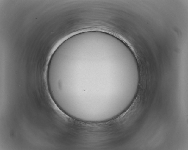 X0000111831516200907231012