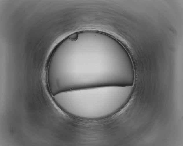 X0000111831517200907231012