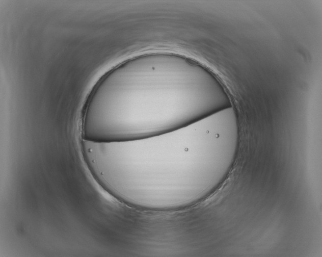 X0000111831519200907231012