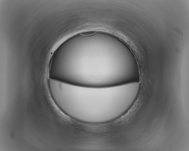 X0000111831520200907231012