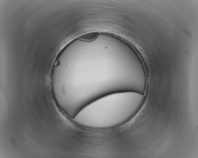 X0000111831521200907231012
