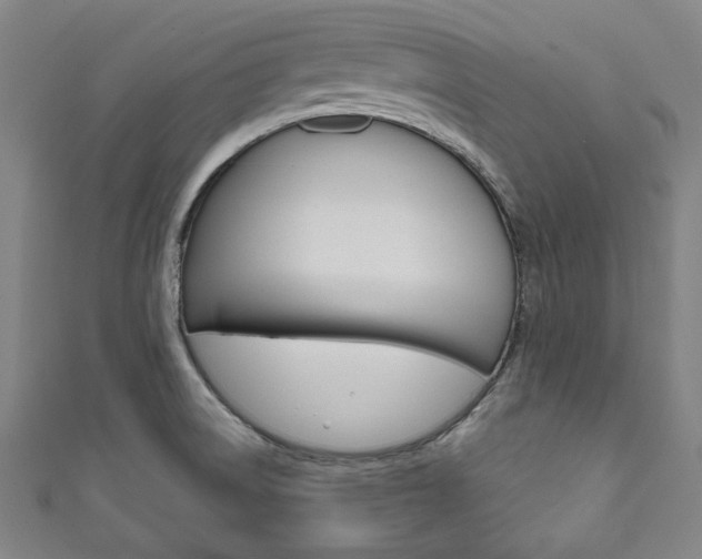X0000111831522200907231012