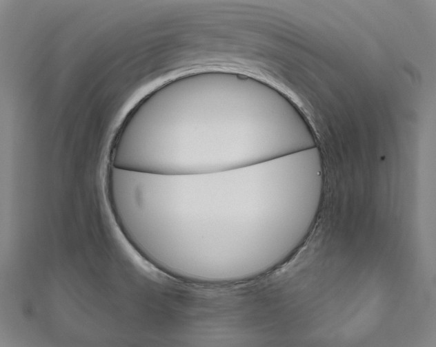 X0000111831523200907231012