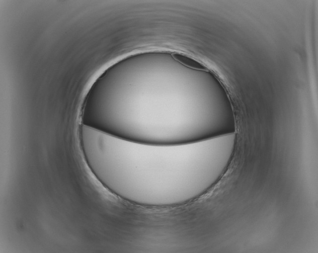 X0000111831524200907231012