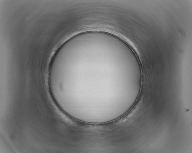 X0000111831525200907231012