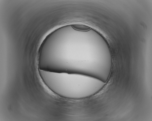 X0000111831526200907231012