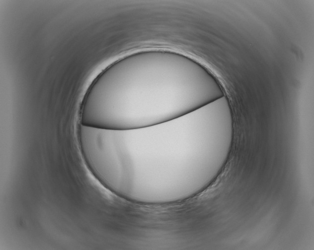X0000111831527200907231012