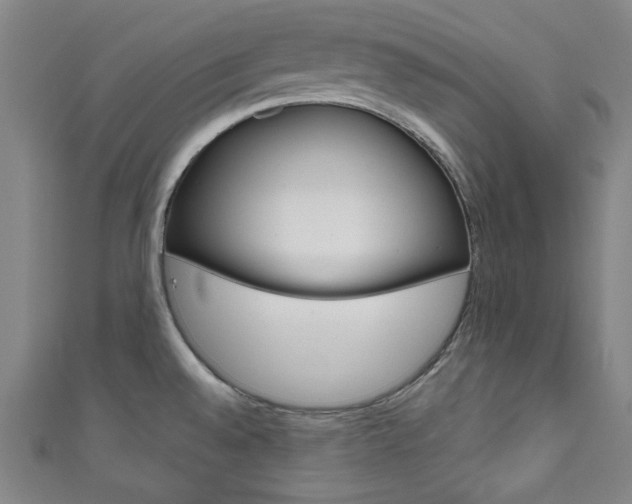 X0000111831528200907231012