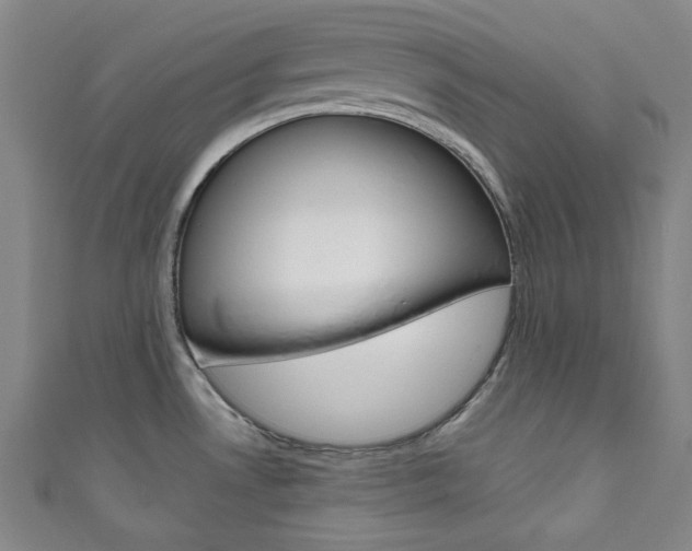 X0000111831530200907231012