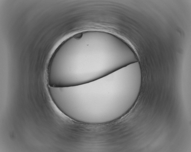 X0000111831531200907231012