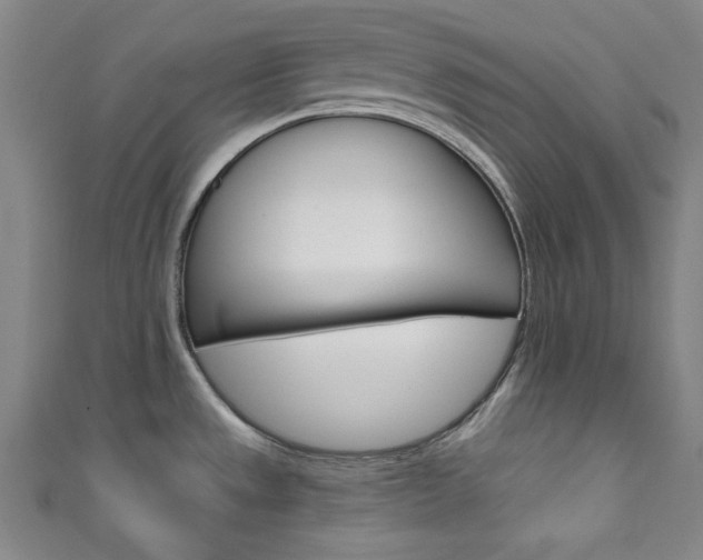 X0000111831533200907231012