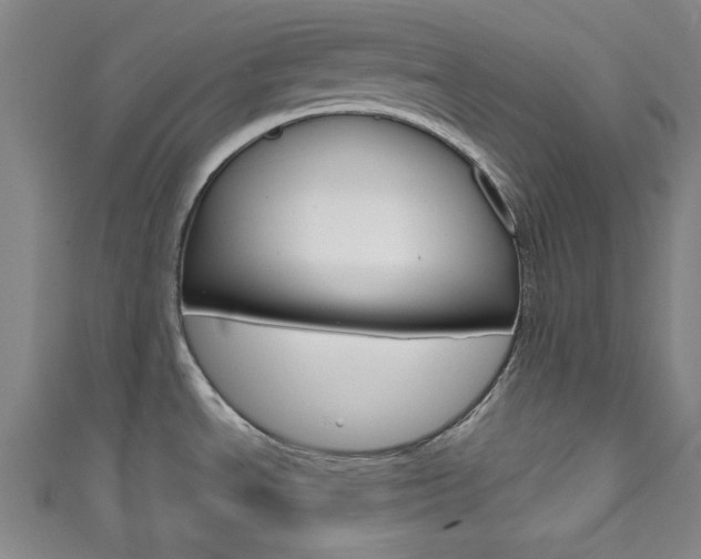 X0000111831534200907231012
