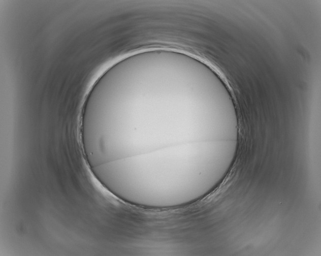 X0000111831535200907231012