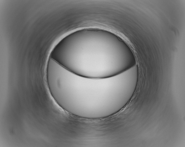X0000111831536200907231012