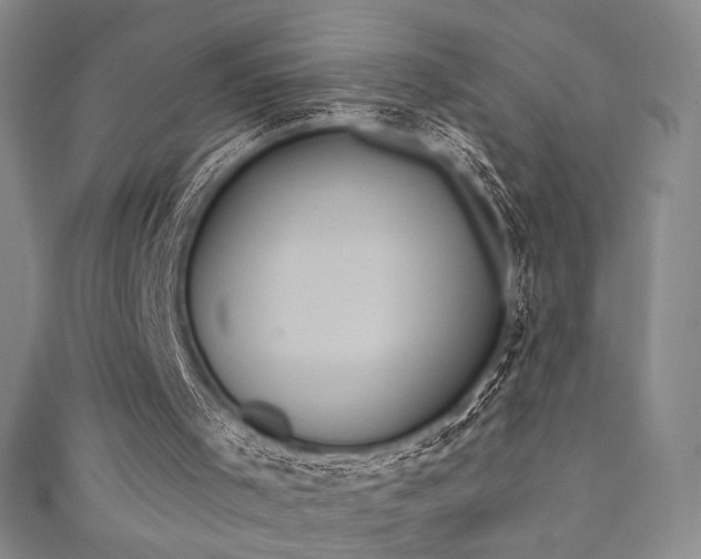 X0000111830001200907231326
