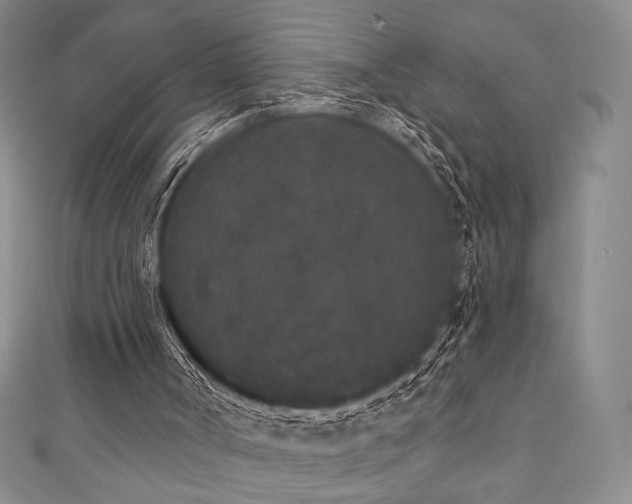 X0000111830002200907231326
