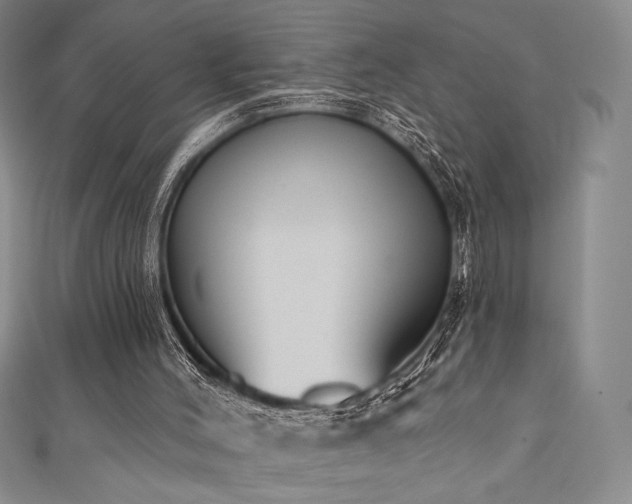 X0000111830004200907231326