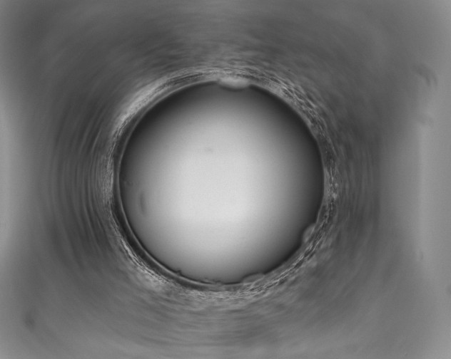 X0000111830005200907231326