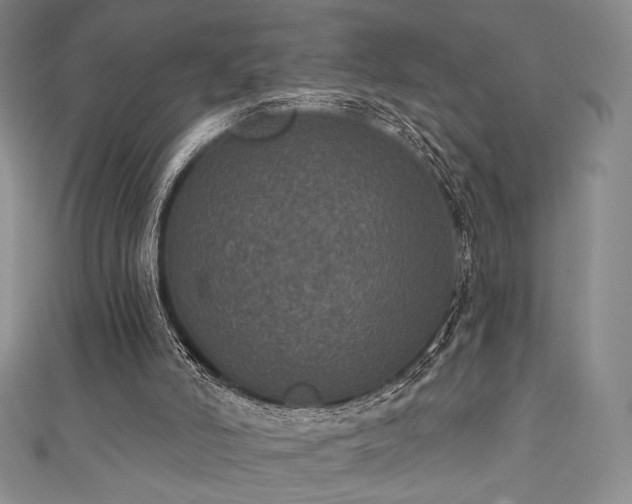 X0000111830006200907231326