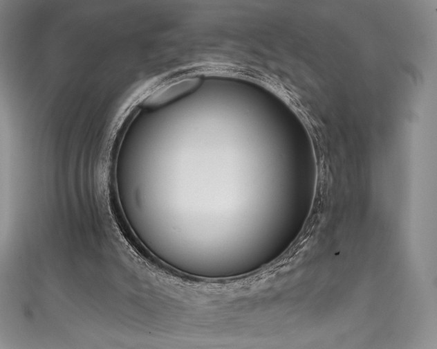 X0000111830007200907231326