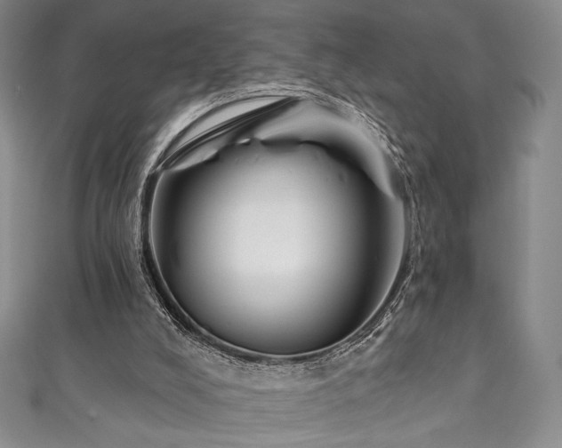 X0000111830008200907231326