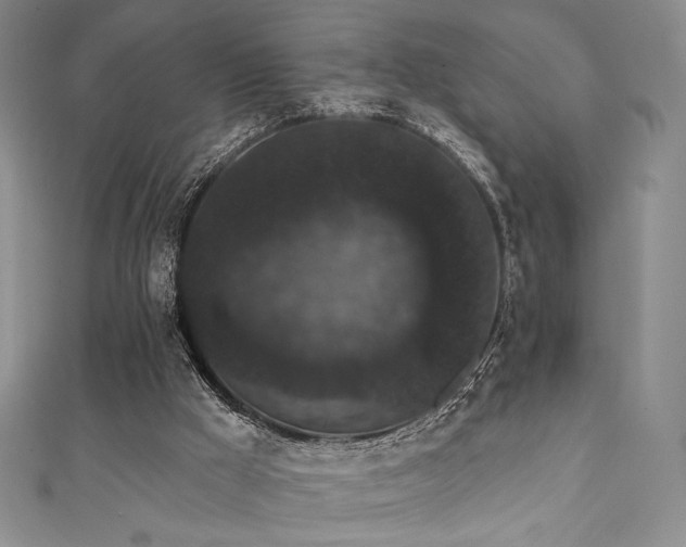 X0000111830009200907231326