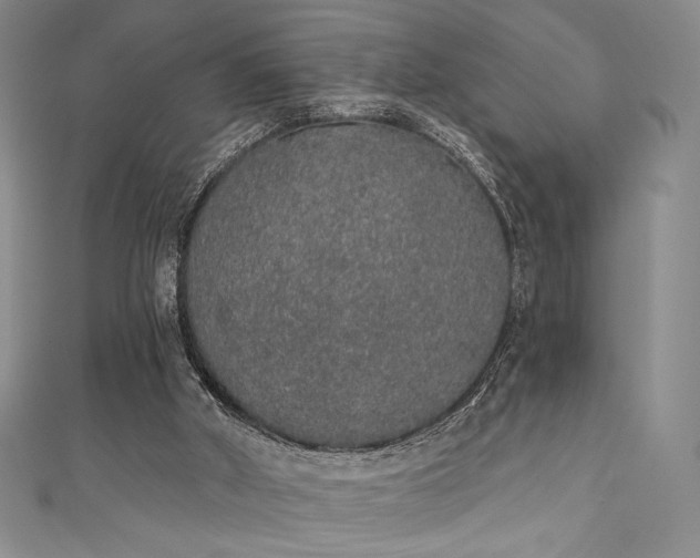 X0000111830010200907231326