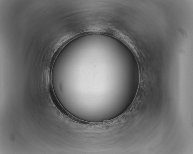 X0000111830011200907231326