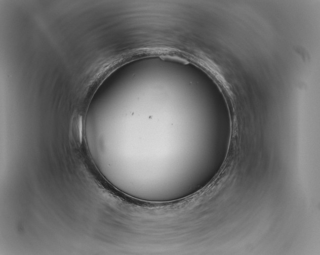 X0000111830013200907231326