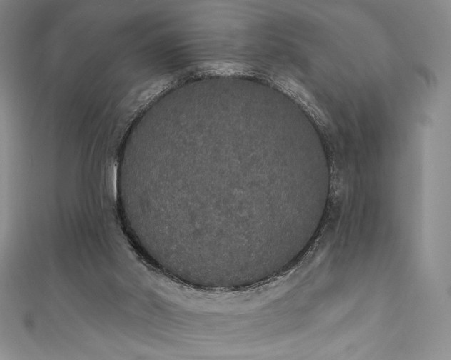 X0000111830014200907231326