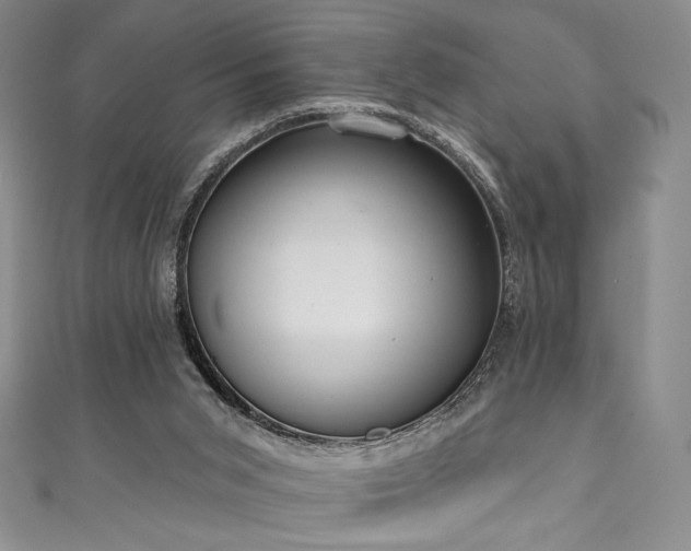 X0000111830015200907231326