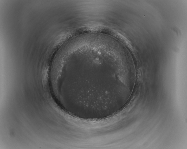 X0000111830018200907231326