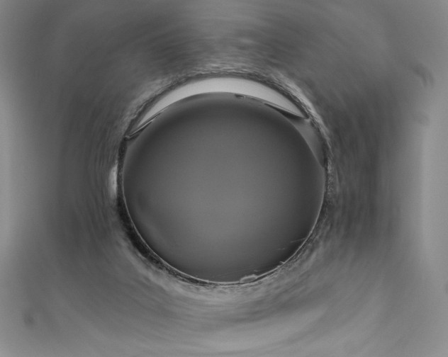 X0000111830019200907231326