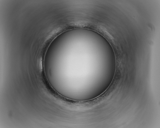 X0000111830020200907231326