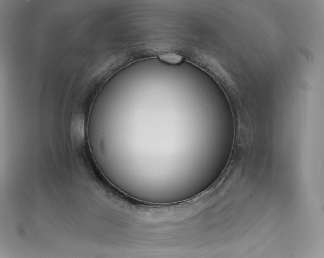 X0000111830021200907231326