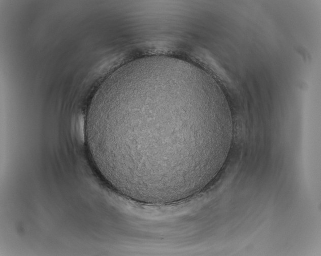X0000111830022200907231326