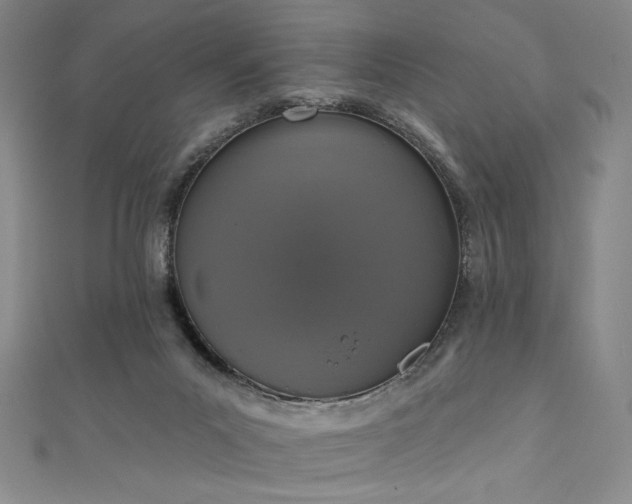 X0000111830023200907231326