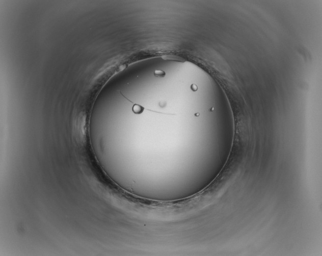 X0000111830024200907231326