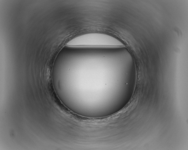 X0000111830025200907231326