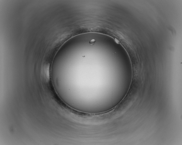 X0000111830028200907231326
