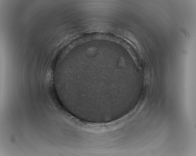 X0000111830029200907231326