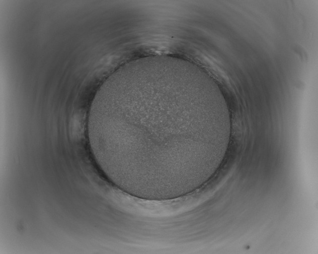 X0000111830030200907231326